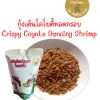 กุ้งเต้นโคโยตี้ทอดกรอบ